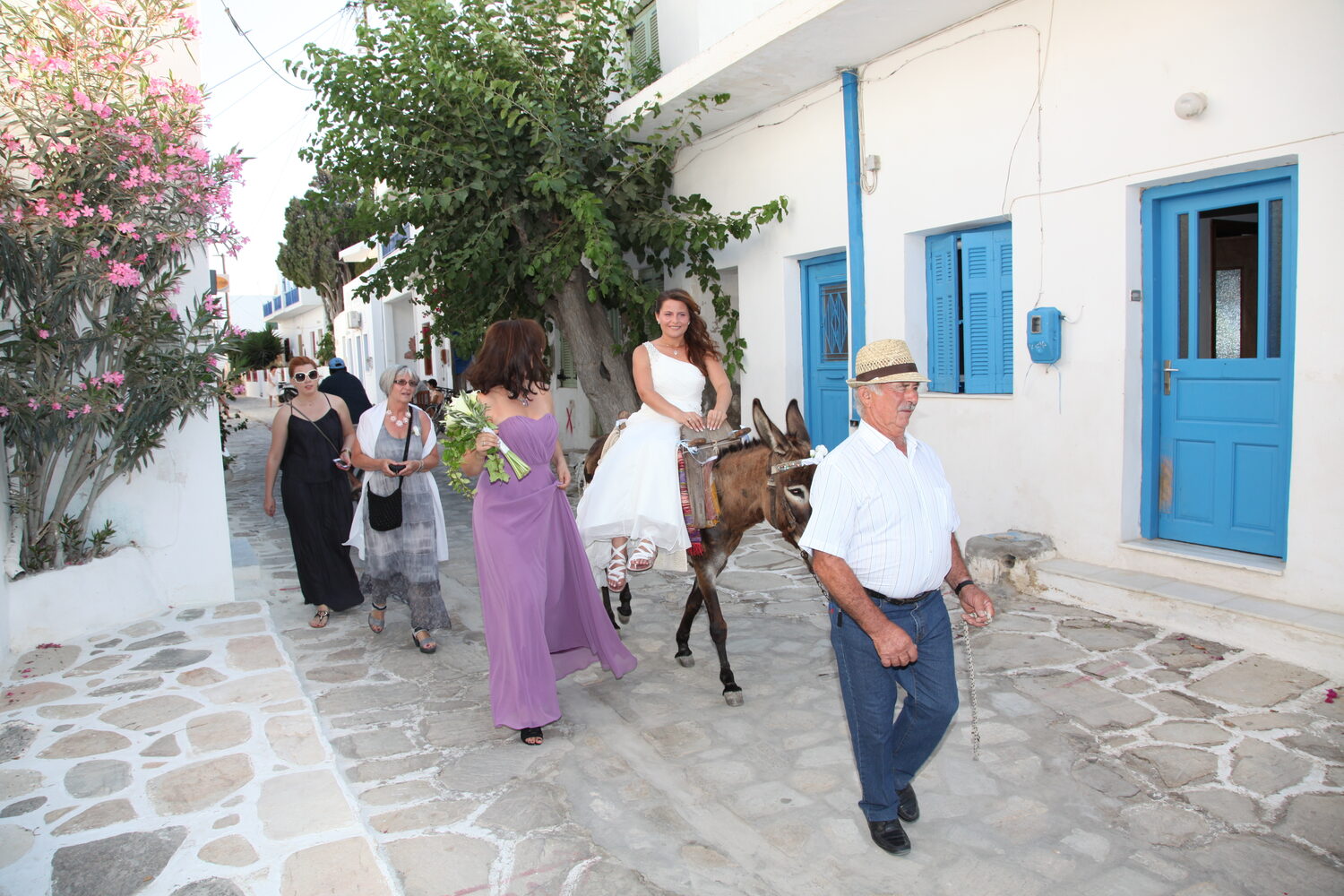 The bride on the donkey in the village lane