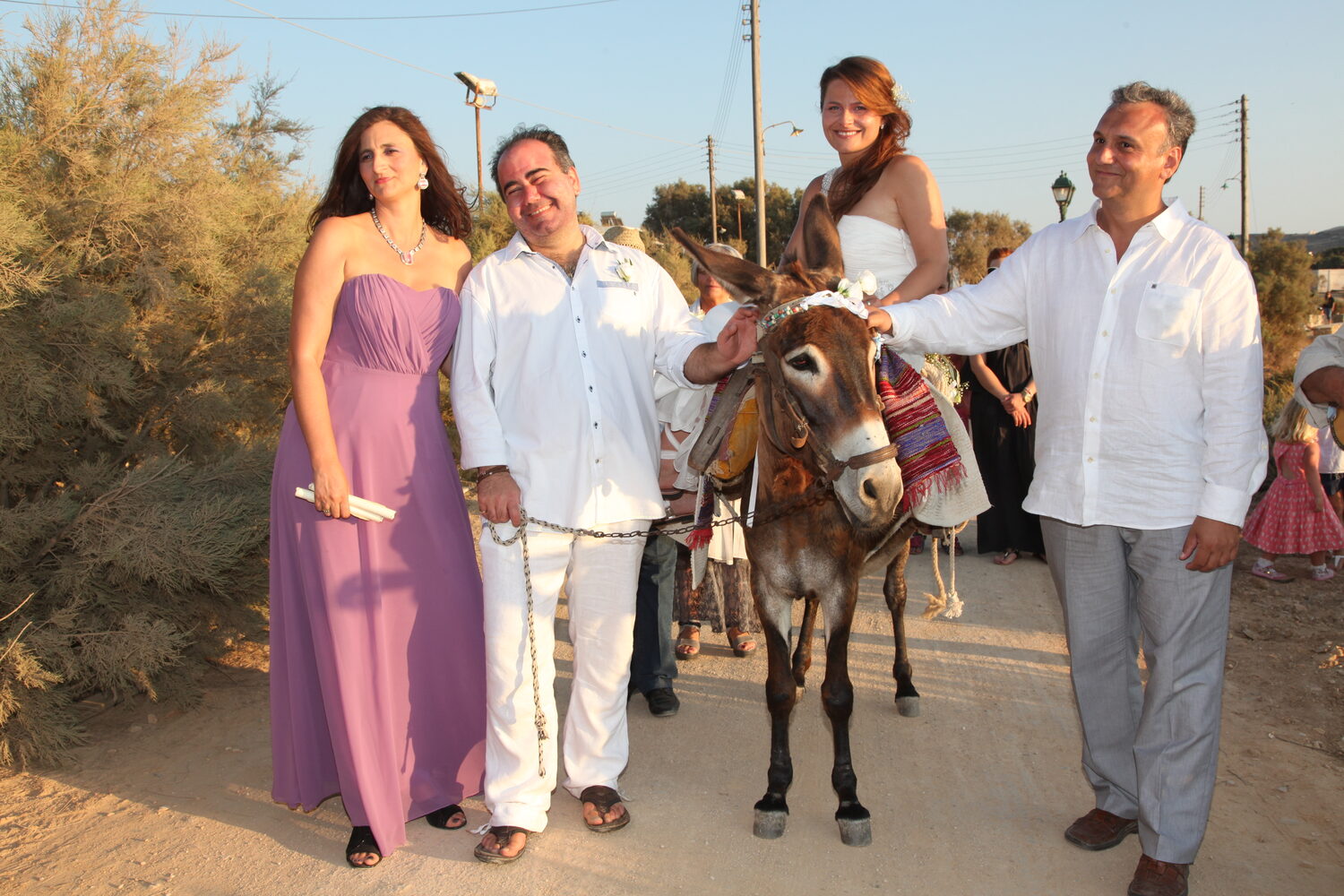 The wedding party walking with the donkey