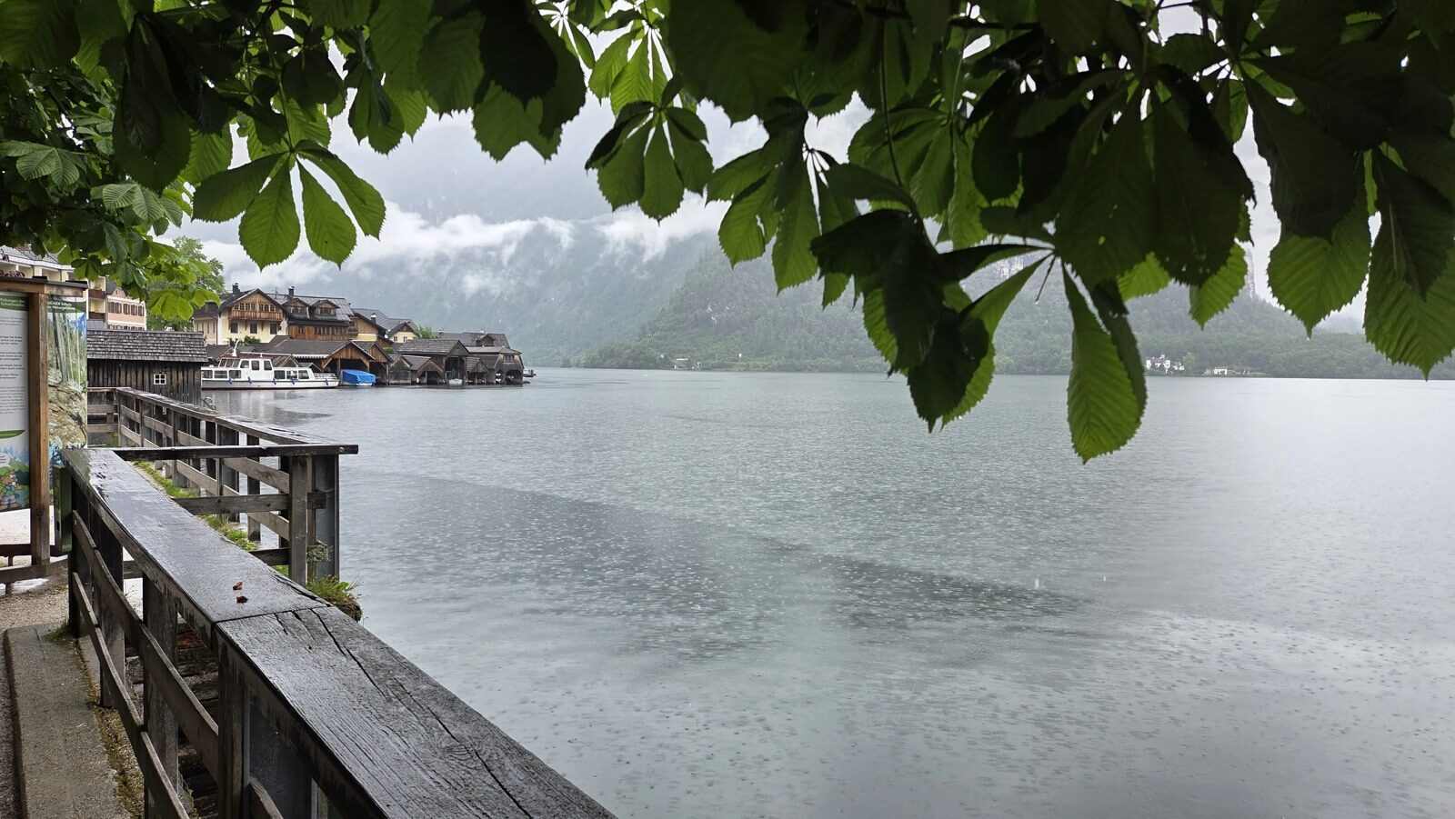 Chestnut leaves over the lake