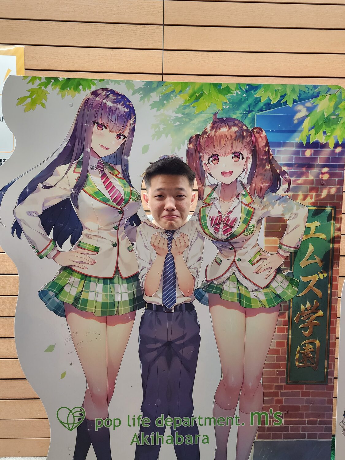 An anime standee in Akihabara