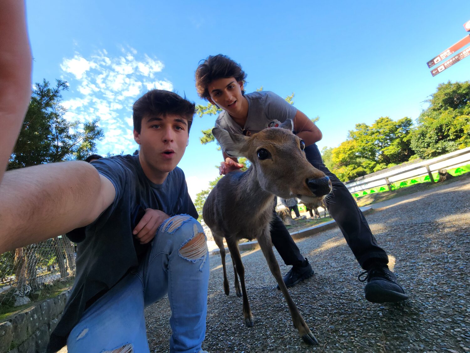 Alex with a deer in Nara
