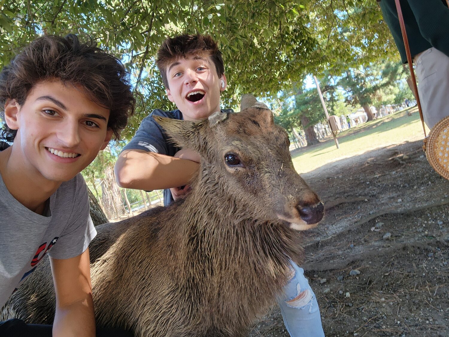 Two friends with a deer