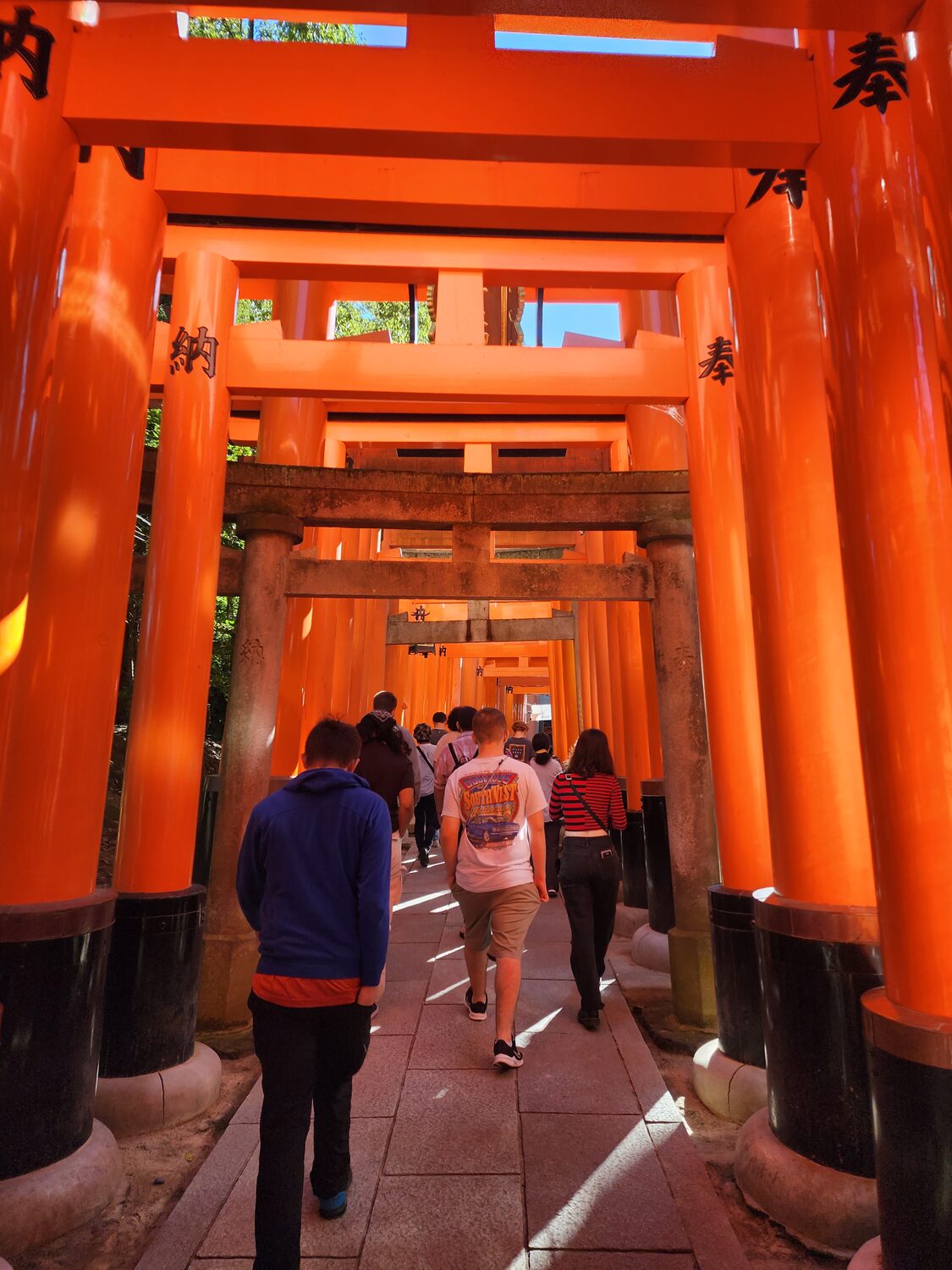The torii tunnel at Fushimi Inari