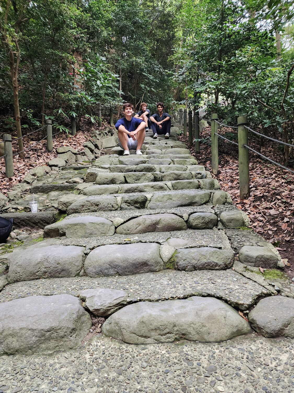 Old stone steps through the forest