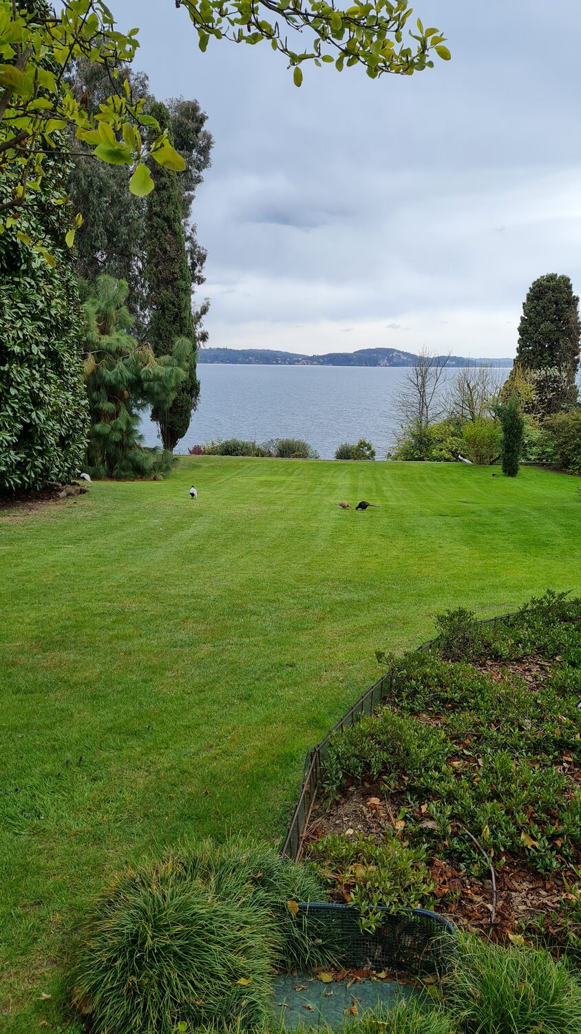 Lawns sloping to the water