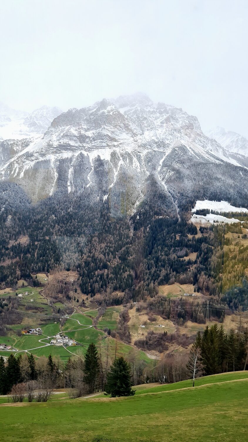 Snowy peaks above a green valley