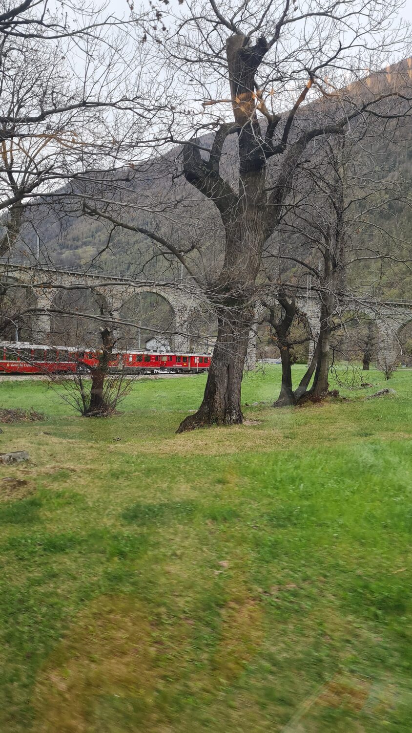 The red Bernina Express train