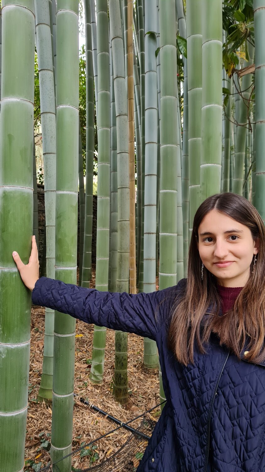 Maritza in a bamboo grove