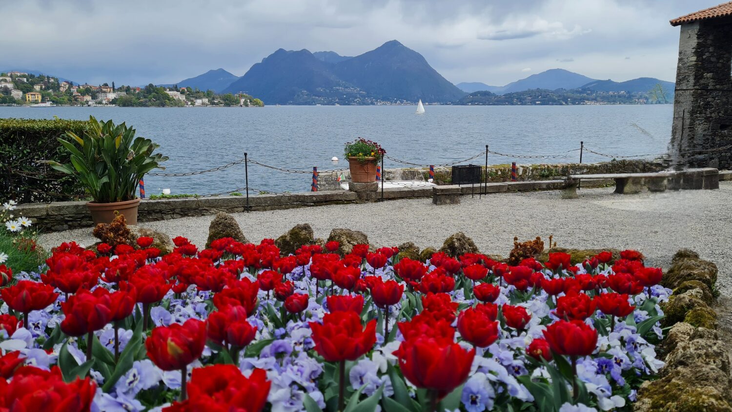 Tulip beds with the lake beyond