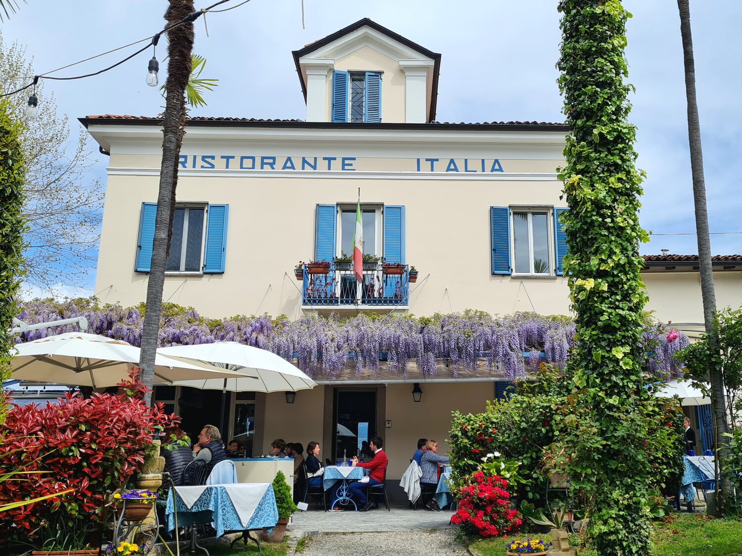 Ristorante Italia under wisteria
