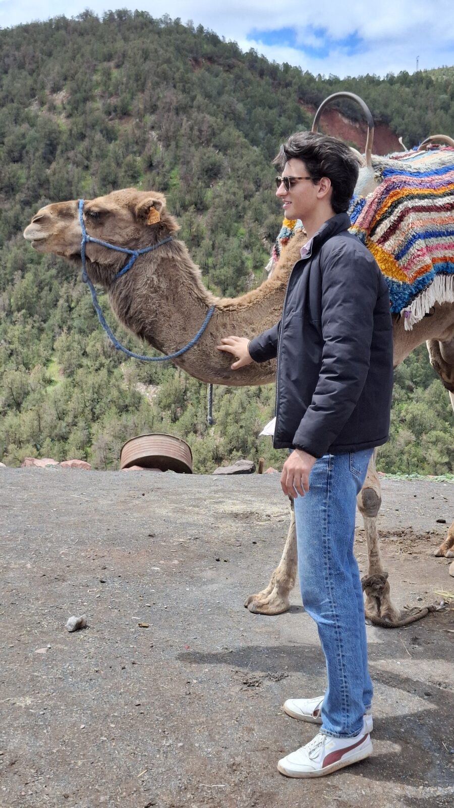 Alex meeting a camel