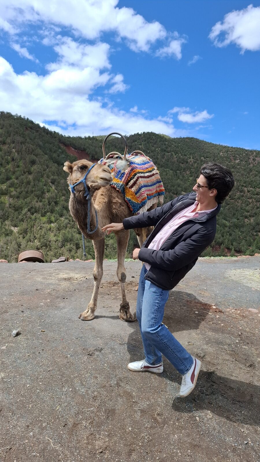 Alex and the camel again