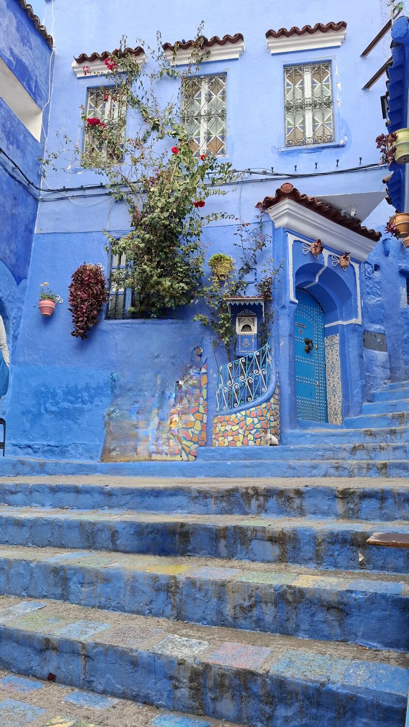 A blue house with plants