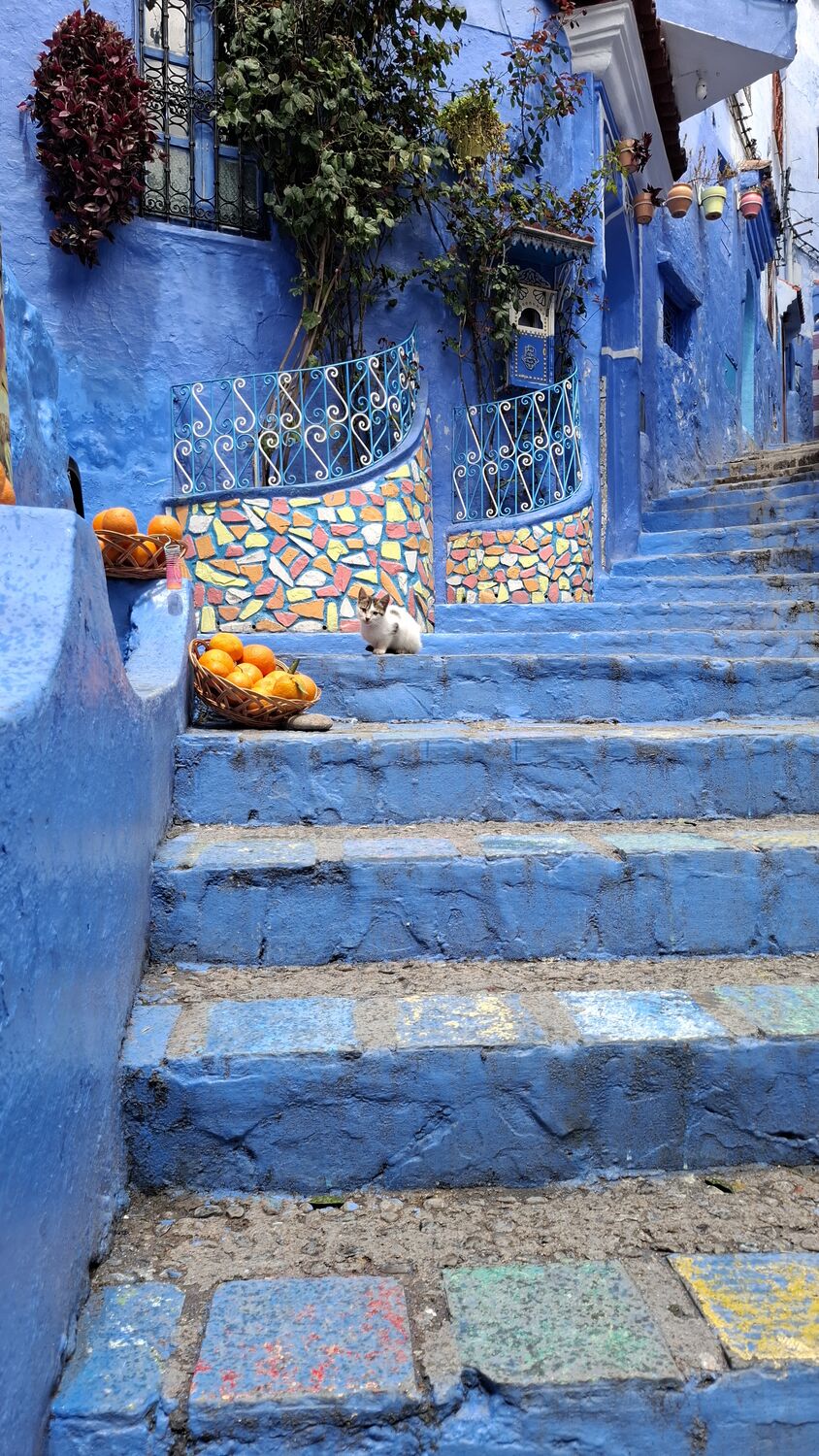 Painted blue steps