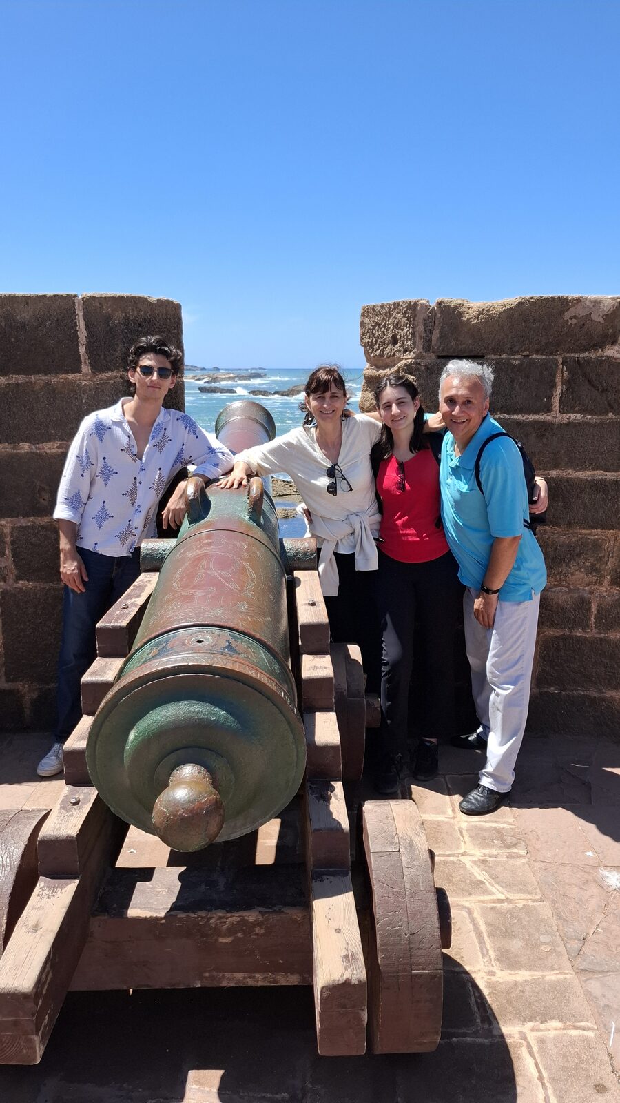 Cannons on the ramparts