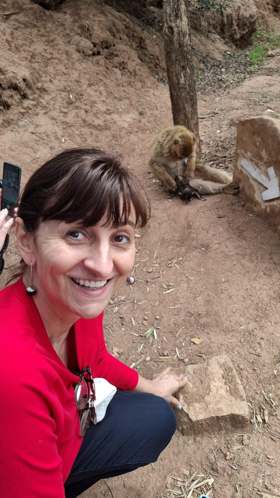 A Barbary macaque at Ouzoud