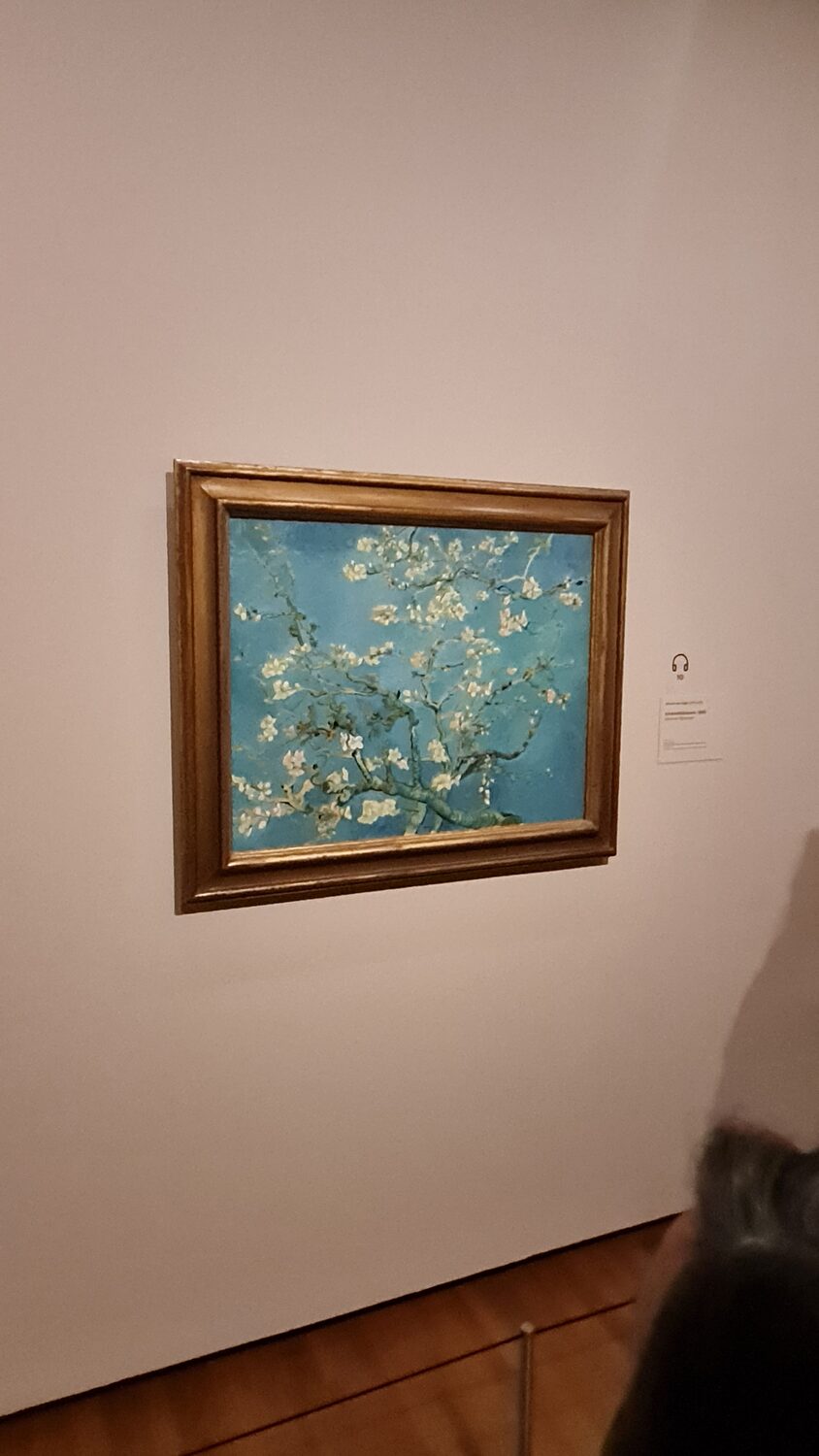 Van Gogh's Almond Blossom