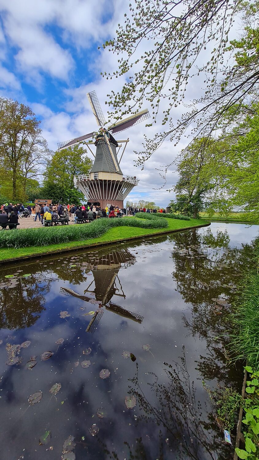 A windmill reflected in the water at Keukenhof