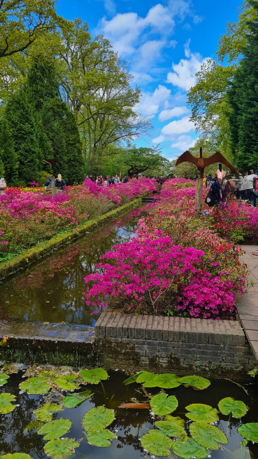 A pond and flowerbeds at Keukenhof