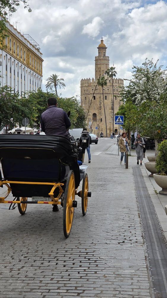 A horse carriage in Seville